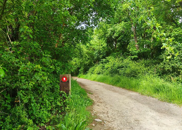 Апарт-отель Jardines De Uleta Витория